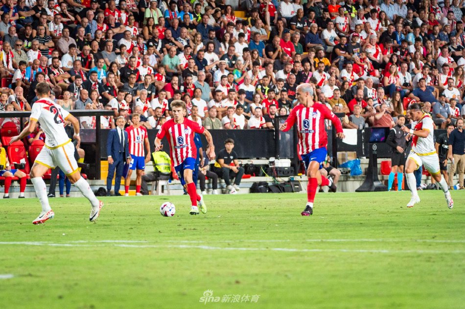 他针对自身 他针对自身